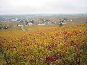 Morey-Saint-Denis in de herfst. Het departement is genoemd naar dit soort landschap.  
