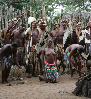 Toda cultura tradicional conhecida tem tipos de dança: este é um evento zulu
