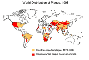 Rozmieszczenie zwierząt zakażonych dżumą 1998
