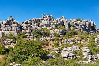 Karst in El Torcal de Antequera, Andalusia (Spain)