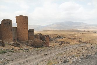 防衛塔を示すアニの城壁