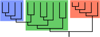 Kladogram (rodokmen) biologické skupiny. Zelený rámeček může představovat evoluční stupeň, skupinu spojenou spíše anatomickými a fyziologickými znaky než fylogenezí. Červený a modrý rámeček představují kladie (tj. úplné monofyletické podstromy). Také modrý a zelený box dohromady tvoří jeden klad.