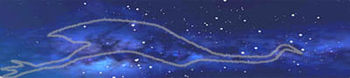 Созвездие "Эму в небе". В западной астрономии южный крест находится справа, а Скорпион - слева; голова эму - это коралловый мешок.