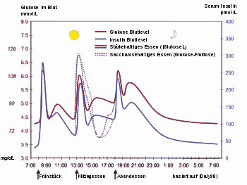 The picture shows the regulation of blood glucose (red) and the blood glucose controlling hormone insulin (blue) in a healthy person over the course of the day with three meals. Also shown is the influence of a sugary (dashed) versus a starchy (solid) meal.