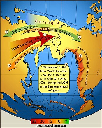 Asentamiento genético de Beringia