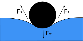 Das Diagramm zeigt, im Querschnitt, eine auf der Wasseroberfläche schwimmende Nadel. Ihr Gewicht, Fw, drückt auf die Oberfläche und wird durch die beidseitigen Oberflächenspannungskräfte Fs ausgeglichen, die an den Kontaktstellen mit der Nadel jeweils parallel zur Wasseroberfläche verlaufen. Beachten Sie, dass die horizontalen Komponenten der beiden Fs-Pfeile in entgegengesetzte Richtungen zeigen, so dass sie sich gegenseitig aufheben, die vertikalen Komponenten jedoch in die gleiche Richtung zeigen und sich daher zum Gleichgewicht Fw addieren.