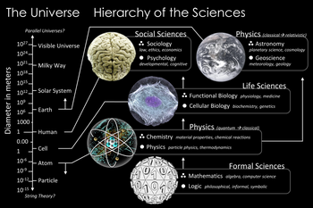La scala dell'universo mappata ai rami della scienza