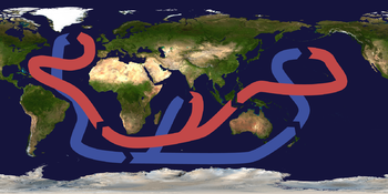 The present Thermohaline Circulation (without Antarctic Circumpolar Current)