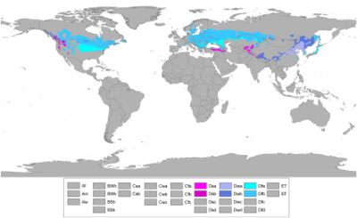 Vochtig continentaal klimaat wereldwijd, met gebruikmaking van de Köppen klimaatclassificatie      Dsa Dsb Dwa Dwb Dfa Dfb