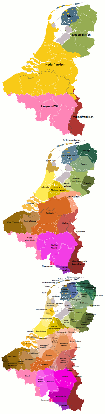 Lenguas minoritarias, lenguas regionales y dialectos en el Benelux