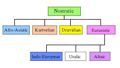 En fylogenetisk repræsentation af Nostratic som foreslået af Bomhard. Eurasiatisk omfatter de indoeuropæiske sprog