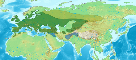 Distribution range of the jackdaw. Green: breeding and winter roosts; yellow: summer bird only; blue: winter visitor only