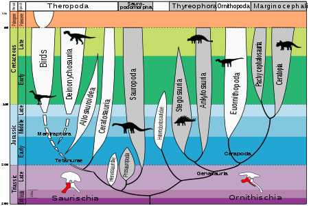 Evolução dos dinossauros
