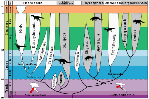 Evolutie van dinosauriërs  