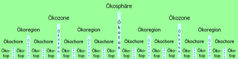 Hierarchical construction principle of the biosphere (ecosphere). Transitions between neighbouring ecotopes etc. are called ecotones.