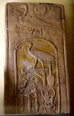 Ein Fragment eines Wandblocks. Die Hieroglyphen "Sohn des Ra" befinden sich über der Kartusche des Geburtsnamens von Thutmos III. 18. Dynastie. Das Petrie-Museum für ägyptische Archäologie, London