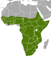 Distribution area of the aardvark