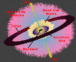 Un diagramma di un nucleo galattico attivo. Il buco nero centrale è circondato da un disco di accrescimento, che è circondato da un toro. Sono mostrate la regione di emissione a linea larga e la regione di emissione a linea stretta, così come i getti che escono dal nucleo