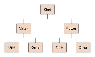 Sequence of three generations on a traditional pedigree chart