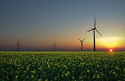 Tre vedvarende energikilder: solenergi, vindenergi og biomasse.  