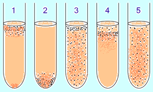 Tioglikolatni bujon je gojišče, ki se uporablja predvsem za ugotavljanje potreb mikroorganizmov po kisiku. 1: Obligatni aerobi potrebujejo kisik. Zberejo se na vrhu epruvete, kjer je njegova koncentracija najvišja. 2: Obligatne anaerobe kisik zastruplja, zato se zbirajo na dnu epruvete, kjer je koncentracija kisika najnižja. 3: Fakultativni anaerobi lahko rastejo kjer koli v cevki, vendar se večinoma zbirajo na vrhu, ker imajo s kisikom več energije. 4: Mikroaerofili potrebujejo kisik: ne morejo fermentirati ali dihati anaerobno. Vendar jih visoke koncentracije kisika zastrupljajo. Zberejo se v zgornjem delu epruvete, vendar ne na samem vrhu. 5: Aerotolerantni organizmi ne potrebujejo kisika, saj presnavljajo energijo anaerobno. Za razliko od obligatnih anaerobov pa jih kisik ne zastruplja. Nahajajo se enakomerno razporejeni po celi epruveti