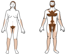 De brune dele af billedet til venstre viser, hvor der vokser hår på en kvindes krop. Tykkere hår er vist ved de mørkebrune dele, og tyndere hår ved de lysebrune dele. Som du kan se på billedet til højre, har mænd generelt mere kropsbehåring end kvinder.  