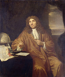 Antonas van Leuvenhukas (Anton van Leeuwenhoek)