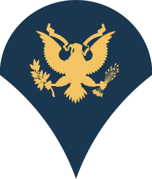 Specialist ranginsigne (U.S. Army)  