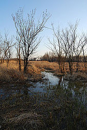 As zonas úmidas Haskell-Baker durante a primavera.