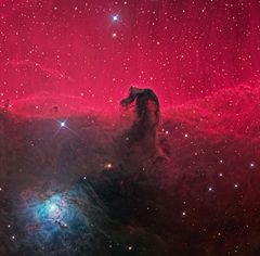 Todo el entorno de la nebulosa. IC 434 está en la esquina inferior izquierda, y la nebulosa misma está cerca del centro en forma de cabeza de caballo  