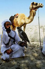 Hombre beduino en los Emiratos Árabes Unidos  