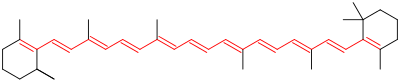 Химическая структура бета-каротина. Одиннадцать сопряженных двойных связей, образующих хромофор молекулы, выделены красным цветом