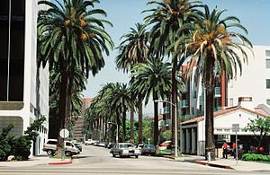 Detta är en gata i Beverly Hills
