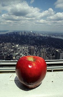 Manhattan, New York City gezien vanaf de top van het nu verdwenen World Trade Center met een appel op de voorgrond, een verwijzing naar de bijnaam van de stad, Big Apple.  