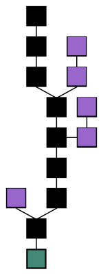 The determining blockchain (black) consists of the longest sequence of blocks starting from the origin to the current block. Alternative chains are orphaned (purple) as soon as they are shorter than another chain.