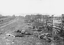 The War of Secession was one of the first wars to be documented photographically. Here: Fallen of the Battle of Antietam, photo by Alexander Gardner, 1862.