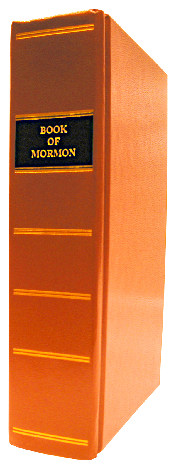 Mormons bok