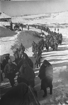 Column of German prisoners near Stalingrad (February 1943)