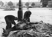 Residents dismantle a horse (Tempelhof Airport)