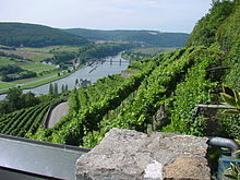 View of the Neckar from Hornberg Castle near Neckarzimmern