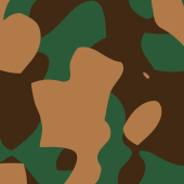 Un exemple simple de camouflage commun
