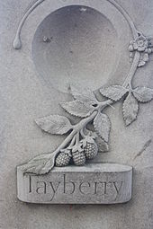 Rzeźba Tayberry, na brzegu rzeki Tay w Perth