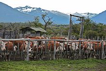 Nibepo-Aike Ranch in Southern Patagonia (Argentina)
