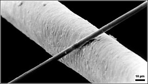 6 µm thick carbon fiber compared to a 50 µm thick human hair.