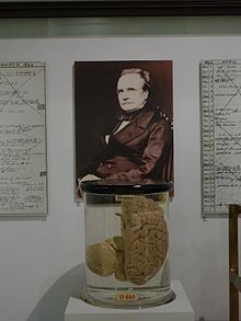 Charles Babbage's Brain