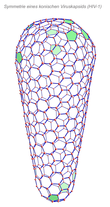 Complex conical capsid in HIV-1