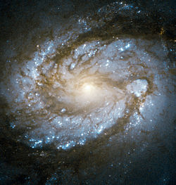 Noyau de Messier 100 pris avec le canal haute résolution de la caméra avancée pour les levés de Hubble.