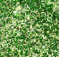 Imagen de satélite de campos de cultivo circulares en el condado de Haskell a finales de junio de 2001.  