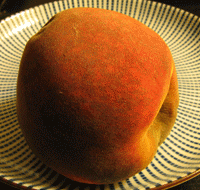 Um pêssego em decomposição durante seis dias, com cada moldura com cerca de 12 horas de intervalo. A fruta murcha e fica coberta de bolor.