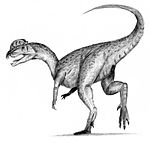 Dilophosaurus .